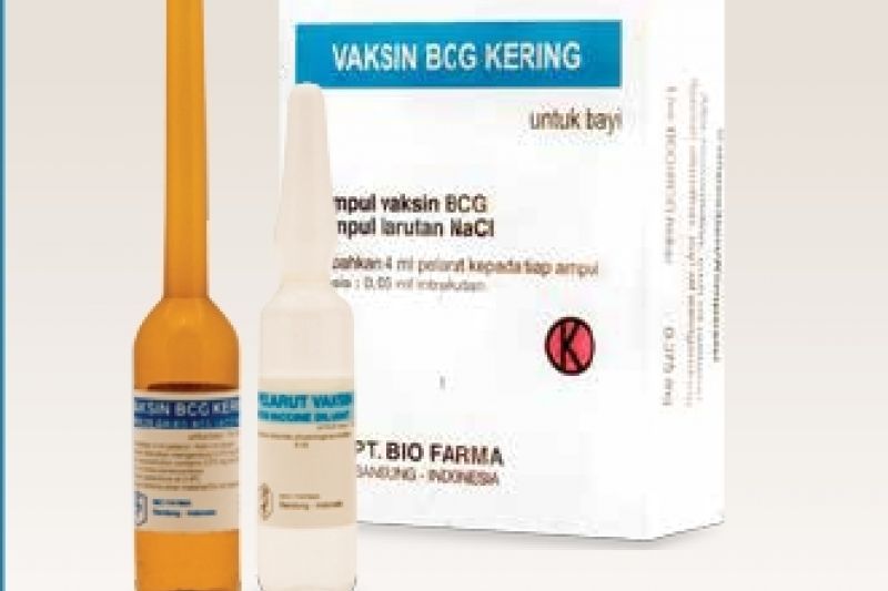 Vaksin BCG Kering