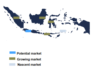 Pharmaceutical Market Indonesia