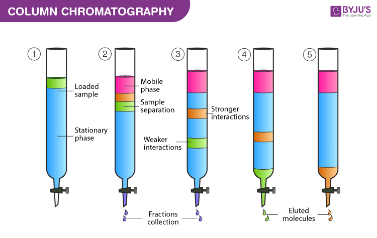 Kromatografi kolom