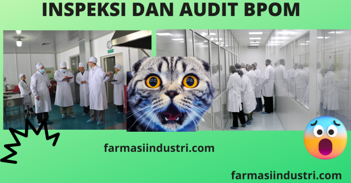 audit BPOM atau inspeksi BPOM